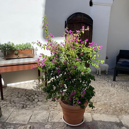 Piazzetta Del Forno Appartamento อัสแซร์จิ ภายนอก รูปภาพ